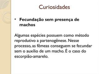 Curiosidades
• Fecundação sem presença de
machos
Algumas espécies possuem como método
reprodutivo a partenogênese. Nesse
processo, as fêmeas conseguem se fecundar
sem o auxílio de um macho. É o caso do
escorpião-amarelo.
 