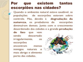 Por que existem tantos
escorpiões nas cidades?
 