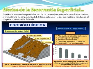 Erosión: la escorrentía superficial es una de las causas de erosión en la superficie de la tierra,
provocando una menor productividad de las cosechas, por lo que sus efectos se estudian en el
campo de la conservación del suelo.
 