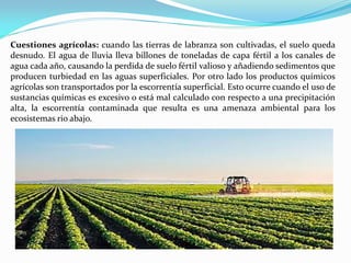 Cuestiones agrícolas: cuando las tierras de labranza son cultivadas, el suelo queda
desnudo. El agua de lluvia lleva billones de toneladas de capa fértil a los canales de
agua cada año, causando la perdida de suelo fértil valioso y añadiendo sedimentos que
producen turbiedad en las aguas superficiales. Por otro lado los productos químicos
agrícolas son transportados por la escorrentía superficial. Esto ocurre cuando el uso de
sustancias químicas es excesivo o está mal calculado con respecto a una precipitación
alta, la escorrentía contaminada que resulta es una amenaza ambiental para los
ecosistemas rio abajo.
 