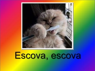 Escova, escova
 