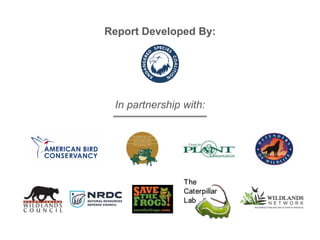 In partnership with:
The
Caterpillar
Lab
Report Developed By:
 
