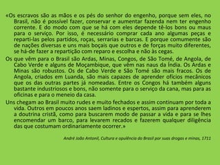 «Os escravos são as mãos e os pés do senhor do engenho, porque sem eles, no Brasil, não é possível fazer, conservar e aumentar fazenda nem ter engenho corrente. E do modo com que se há com eles depende tê-los bons ou maus para o serviço. Por isso, é necessário comprar cada ano algumas peças e reparti-las pelos partidos, roças, serrarias e barcas. E porque comumente são de nações diversas e uns mais boçais que outros e de forças muito diferentes, se há-de fazer a repartição com reparo e escolha e não às cegas. Os que vêm para o Brasil são Ardas, Minas, Congos, de São Tomé, de Angola, de Cabo Verde e alguns de Moçambique, que vêm nas naus da Índia. Os Ardas e Minas são robustos. Os de Cabo Verde e São Tomé são mais fracos. Os de Angola, criados em Luanda, são mais capazes de aprender ofícios mecânicos que os das outras partes já nomeadas. Entre os Congos há também alguns bastante industriosos e bons, não somente para o serviço da cana, mas para as oficinas e para o meneio da casa. Uns chegam ao Brasil muito rudes e muito fechados e assim continuam por toda a vida. Outros em poucos anos saem ladinos e espertos, assim para aprenderem a doutrina cristã, como para buscarem modo de passar a vida e para se lhes encomendar um barco, para levarem recados e fazerem qualquer diligência das que costumam ordinariamente ocorrer.» André João Antonil, Cultura e opulência do Brasil por suas drogas e minas, 1711 