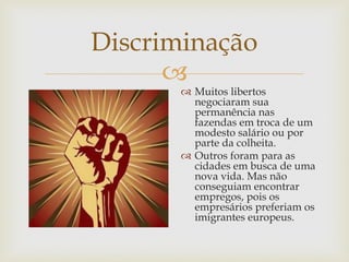 Discriminação


 Muitos libertos
negociaram sua
permanência nas
fazendas em troca de um
modesto salário ou por
parte da colheita.
 Outros foram para as
cidades em busca de uma
nova vida. Mas não
conseguiam encontrar
empregos, pois os
empresários preferiam os
imigrantes europeus.

 