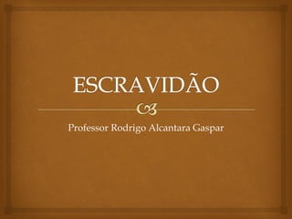 Professor Rodrigo Alcantara Gaspar

 