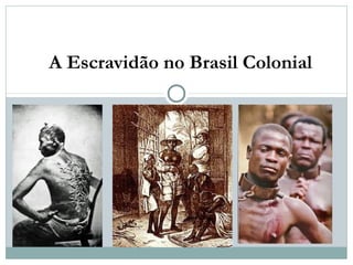 A Escravidão no Brasil Colonial
 