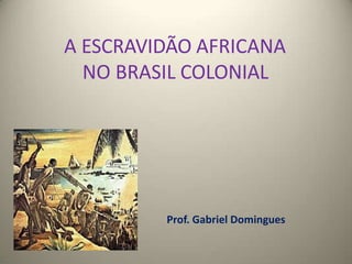 A ESCRAVIDÃO AFRICANA
NO BRASIL COLONIAL
Prof. Gabriel Domingues
 