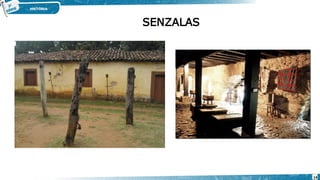 SENZALAS
14
 