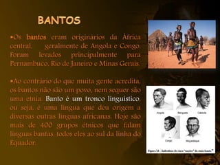 Os bantos eram originários da África
central, geralmente de Angola e Congo.
Foram levados principalmente para
Pernambuco, Rio de Janeiro e Minas Gerais.
Ao contrário do que muita gente acredita,
os bantos não são um povo, nem sequer são
uma etnia. Banto é um tronco linguístico,
ou seja, é uma língua que deu origem a
diversas outras línguas africanas. Hoje são
mais de 400 grupos étnicos que falam
línguas bantas, todos eles ao sul da linha do
Equador.
 