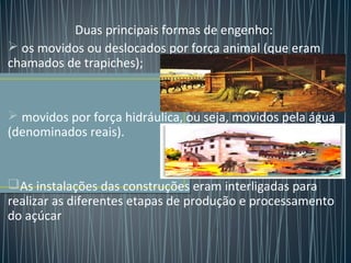 Duas principais formas de engenho:
 os movidos ou deslocados por força animal (que eram
chamados de trapiches);
 movidos por força hidráulica, ou seja, movidos pela água
(denominados reais).
As instalações das construções eram interligadas para
realizar as diferentes etapas de produção e processamento
do açúcar
 