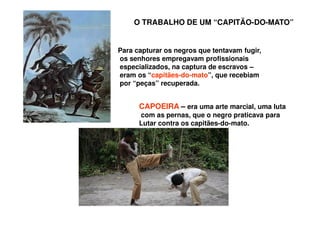 O TRABALHO DE UM “CAPITÃO-DO-MATO”
Para capturar os negros que tentavam fugir,
os senhores empregavam profissionais
especializados, na captura de escravos –
eram os “capitães-do-mato”, que recebiam
por “peças” recuperada.
CAPOEIRA – era uma arte marcial, uma luta
com as pernas, que o negro praticava para
Lutar contra os capitães-do-mato.
 