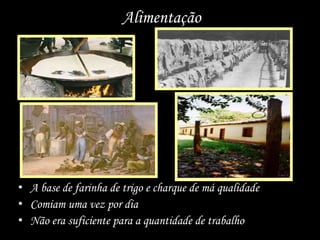 Alimentação
• A base de farinha de trigo e charque de má qualidade
• Comiam uma vez por dia
• Não era suficiente para a quantidade de trabalho
 