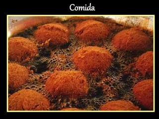Comida
 