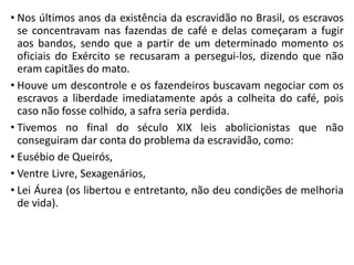 • Nos últimos anos da existência da escravidão no Brasil, os escravos
se concentravam nas fazendas de café e delas começaram a fugir
aos bandos, sendo que a partir de um determinado momento os
oficiais do Exército se recusaram a persegui-los, dizendo que não
eram capitães do mato.
• Houve um descontrole e os fazendeiros buscavam negociar com os
escravos a liberdade imediatamente após a colheita do café, pois
caso não fosse colhido, a safra seria perdida.
• Tivemos no final do século XIX leis abolicionistas que não
conseguiram dar conta do problema da escravidão, como:
• Eusébio de Queirós,
• Ventre Livre, Sexagenários,
• Lei Áurea (os libertou e entretanto, não deu condições de melhoria
de vida).
 