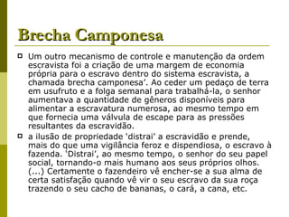 Brecha Camponesa Um outro mecanismo de controle e manutenção da ordem escravista foi a criação de uma margem de economia própria para o escravo dentro do sistema escravista, a chamada brecha camponesa’. Ao ceder um pedaço de terra em usufruto e a folga semanal para trabalhá-la, o senhor aumentava a quantidade de gêneros disponíveis para alimentar a escravatura numerosa, ao mesmo tempo em que fornecia uma válvula de escape para as pressões resultantes da escravidão. a ilusão de propriedade ‘distrai’ a escravidão e prende, mais do que uma vigilância feroz e dispendiosa, o escravo à fazenda. ‘Distrai’, ao mesmo tempo, o senhor do seu papel social, tornando-o mais humano aos seus próprios olhos. (...) Certamente o fazendeiro vê encher-se a sua alma de certa satisfação quando vê vir o seu escravo da sua roça trazendo o seu cacho de bananas, o cará, a cana, etc.  