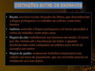• Boçais: escravos recém chegados da África, que desconheciam
a língua portuguesa e o trabalho na colônia, eram mais
baratos.
• Ladinos: entendia a língua portuguesa e já havia aprendido a
rotina de trabalho, eram mais caros.
• Negros do eito: trabalhavam nas lavouras em média 15 horas
por dia, viviam sob a fiscalização do feitor, e quando
desobedeciam eram castigados em público para servir de
exemplo aos outros.
• Negros de ganho: realizavam trabalhos temporários nas
cidades em troca de pagamento, que era revertido parcial ou
totalmente aos seus donos.
 