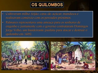 • Cultivavam milho, feijão, cana-de-açúcar, mandioca e
realizavam comércio com os povoados próximos.
• Palmares representava uma ameaça para os senhores de
engenho e juntamente com o governo contrataram Domingos
Jorge Velho, um bandeirante paulista para atacar e destruir o
quilombo em 1692.
 