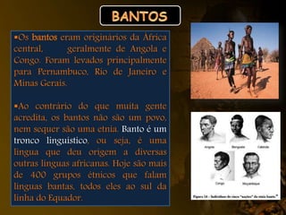 Os bantos eram originários da África
central, geralmente de Angola e
Congo. Foram levados principalmente
para Pernambuco, Rio de Janeiro e
Minas Gerais.
Ao contrário do que muita gente
acredita, os bantos não são um povo,
nem sequer são uma etnia. Banto é um
tronco linguístico, ou seja, é uma
língua que deu origem a diversas
outras línguas africanas. Hoje são mais
de 400 grupos étnicos que falam
línguas bantas, todos eles ao sul da
linha do Equador.
 