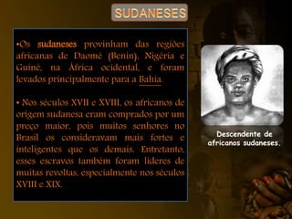 Descendente de
africanos sudaneses.
•Os sudaneses provinham das regiões
africanas de Daomé (Benin), Nigéria e
Guiné, na África ocidental, e foram
levados principalmente para a Bahia.
• Nos séculos XVII e XVIII, os africanos de
origem sudanesa eram comprados por um
preço maior, pois muitos senhores no
Brasil os consideravam mais fortes e
inteligentes que os demais. Entretanto,
esses escravos também foram líderes de
muitas revoltas, especialmente nos séculos
XVIII e XIX.
 