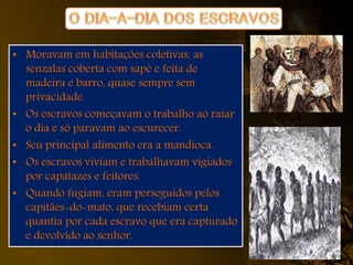 • Moravam em habitações coletivas, as
senzalas coberta com sapé e feita de
madeira e barro, quase sempre sem
privacidade.
• Os escravos começavam o trabalho ao raiar
o dia e só paravam ao escurecer.
• Seu principal alimento era a mandioca.
• Os escravos viviam e trabalhavam vigiados
por capatazes e feitores.
• Quando fugiam, eram perseguidos pelos
capitães-do-mato, que recebiam certa
quantia por cada escravo que era capturado
e devolvido ao senhor.
 