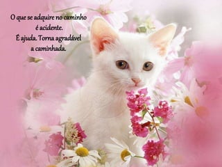 O que se adquire no caminho
é acidente.
É ajuda. Torna agradável
a caminhada.
 