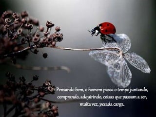 Pensando bem, o homempassa o tempojuntando,
comprando, adquirindo, coisas que passama ser,
muita vez, pesada carga.
 