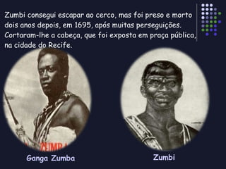 Zumbi consegui escapar ao cerco, mas foi preso e morto dois anos depois, em 1695, após muitas perseguições. Cortaram-lhe a cabeça, que foi exposta em praça pública, na cidade do Recife.  Ganga Zumba Zumbi 