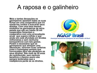 A raposa e o galinheiro Meio a tantas decepções os garimpeiros apostam todas as suas fichas em uma cooperativa que irá mante-los unidos e buscarão seus direitos. Com uma taxa mensal, simbólica os garimpeiros de serra pelada que são em média 30 mil cooperados fomentam a cooperativa com uma arrecadação anual  que supera milhão e que ainda sim está afundada em dividas milhonárias e sem nenhuma transparência com tais gastos. Porém é necessário que os garimpeiros que almejam uma idenização, renovem suas carteiras junto a coomigasp sempre que convocados para não perderem os seus direitos. São mais de 20 anos de contribuição, sem nenhum beneficio e mesmo assim são sempre lembrados que a inádiplencia perde se os direitos. 