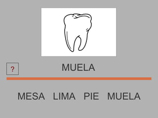 MUELA MESA  LIMA  PIE  MUELA ? 