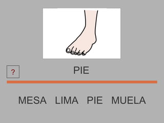 PIE MESA  LIMA  PIE  MUELA ? 