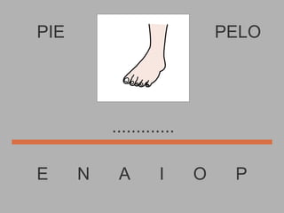 PIE E  N  A  I  O  P PELO ............. 