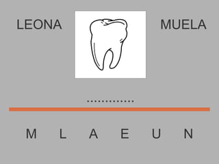 LEONA M  L  A  E  U  N MUELA ............. 