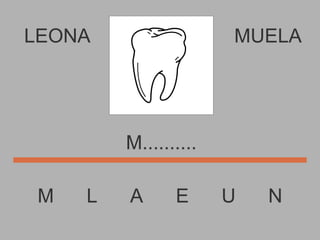 LEONA M  L  A  E  U  N MUELA M.......... 