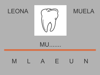 LEONA M  L  A  E  U  N MUELA MU....... 