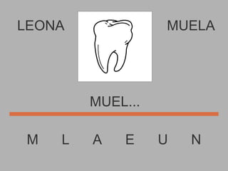 LEONA M  L  A  E  U  N MUELA MUEL... 
