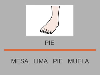 PIE MESA  LIMA  PIE  MUELA 