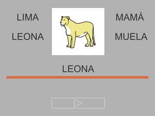 LIMA MAMÁ LEONA LEONA MUELA 