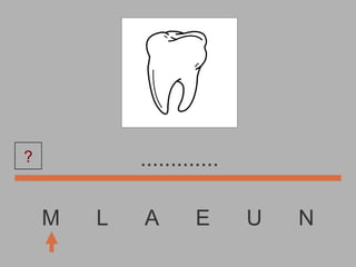 M  L  A  E  U  N ............. ? 