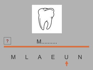 M  L  A  E  U  N M.......... ? 