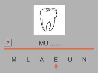 M  L  A  E  U  N MU....... ? 