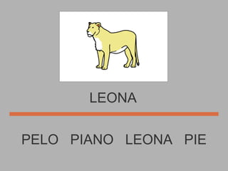 LEONA PELO  PIANO  LEONA  PIE 