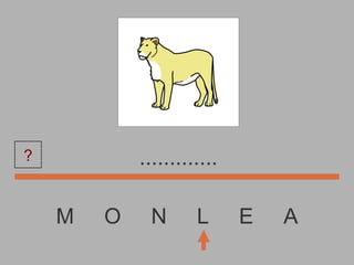 M  O  N  L  E  A ............. ? 