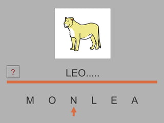 M  O  N  L  E  A LEO..... ? 