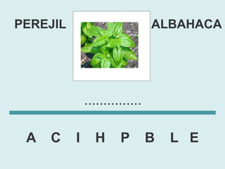 PEREJIL                         ALBAHACA




              ...............

 A   C    I     H      P        B   L E
 