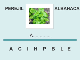PEREJIL                        ALBAHACA




              A.............

 A   C    I     H     P        B   L E
 