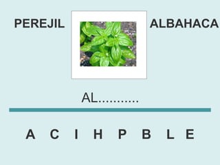PEREJIL                       ALBAHACA




              AL...........

 A   C    I     H     P       B   L E
 