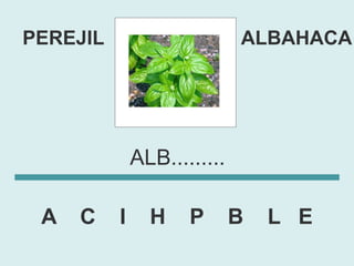 PEREJIL                      ALBAHACA




              ALB.........

 A   C    I     H    P       B   L E
 