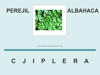 PEREJIL                         ALBAHACA




              ...............

 C   J    I     P     L     E    R   A
 