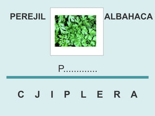 PEREJIL                        ALBAHACA




              P.............

 C   J    I     P     L    E    R   A
 