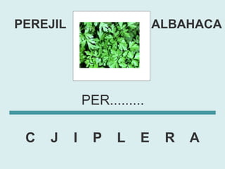 PEREJIL                      ALBAHACA




              PER.........

 C   J    I     P   L    E    R   A
 